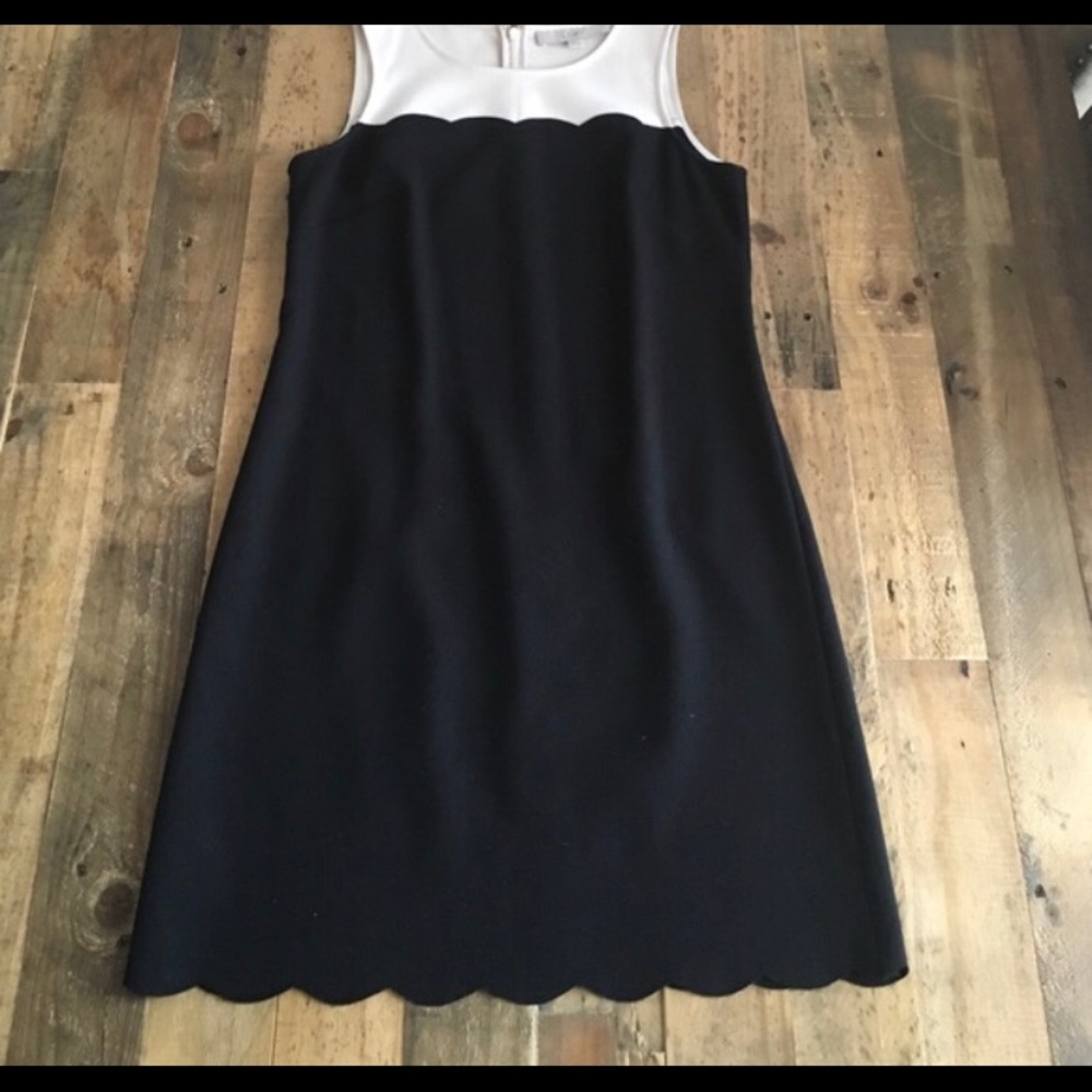 LOFT  Scalloped Dress